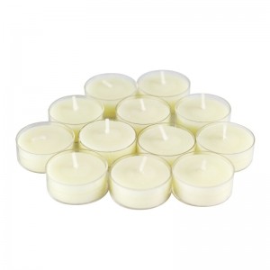 Winston Porter Scented Tea Light Candle in Vanilla Scented Ivory WNPR8052